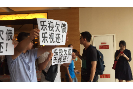 南澳南澳的要账公司在催收过程中的策略和技巧有哪些？